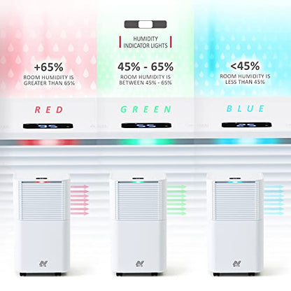 NETTA 12L/Day Low Energy Dehumidifier