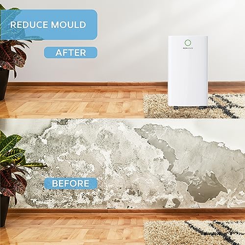 MONHOUSE 25L/Day Digital Dehumidifier - Large 4L Tank